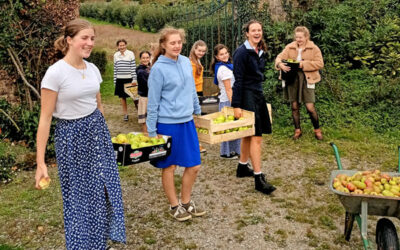 Ramassage de pommes au château